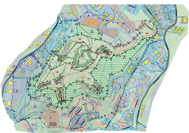 Постановление Правительства Приморского края от 02.11.2023 N 753-пп "Об установлении объединенной зоны охраны объектов культурного наследия федерального значения "Форт им. Муравьева-Амурского бывшей Владивостокской крепости", "Батарея А", "Батарея Б", "Батарея В", "Батарея Г", "Батарея Д", расположенных в районе горы Холодильник в городе Владивостоке, утверждении требований к градостроительным регламентам в границах территорий данной зоны"